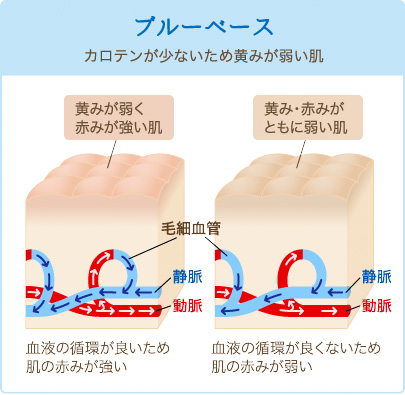 ブルーベース