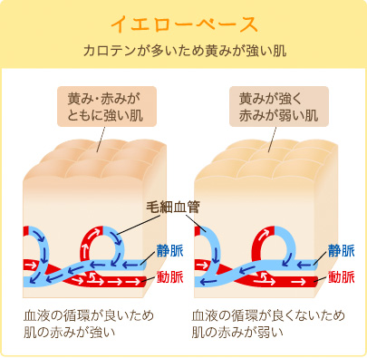 イエローベース